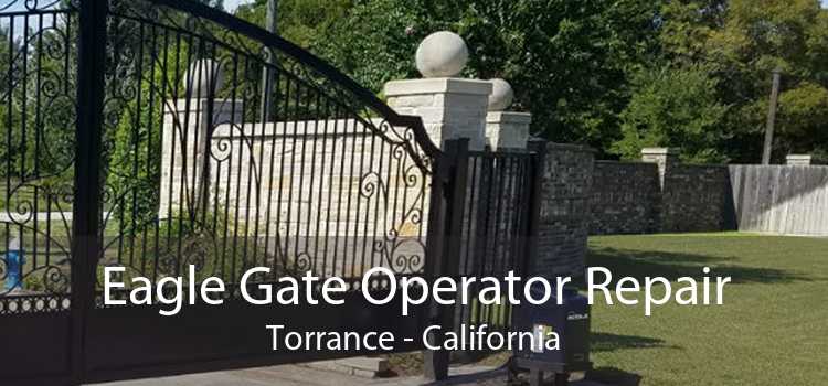 Eagle Gate Operator Repair Torrance - California