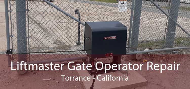 Liftmaster Gate Operator Repair Torrance - California
